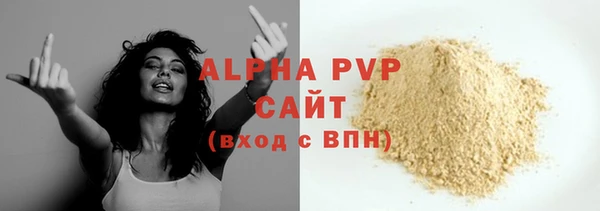 шишки Покачи