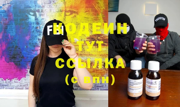гашик Арсеньев